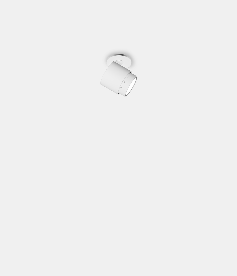 lui pico rendering 01